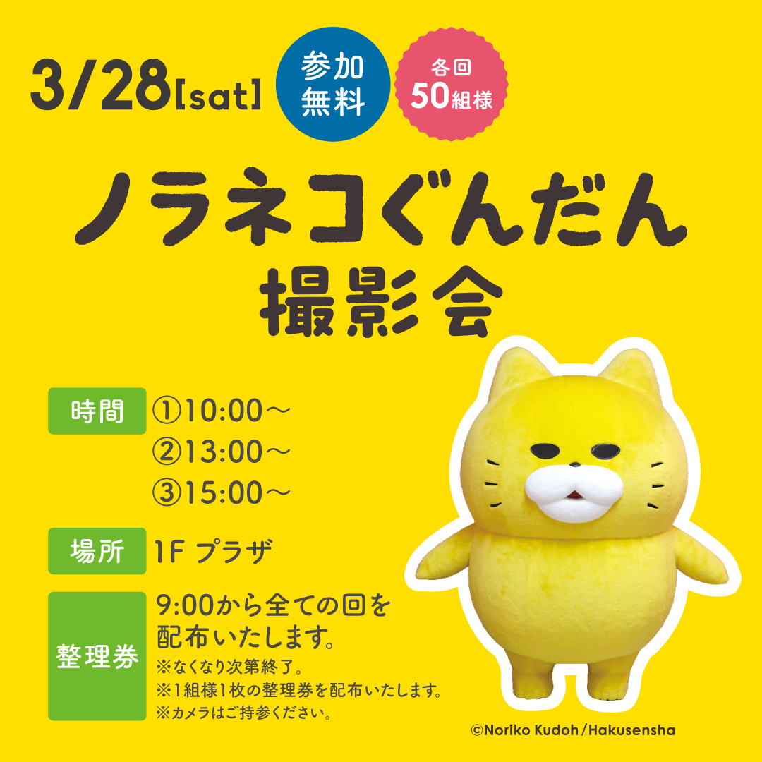 ノラネコぐんだん撮影会