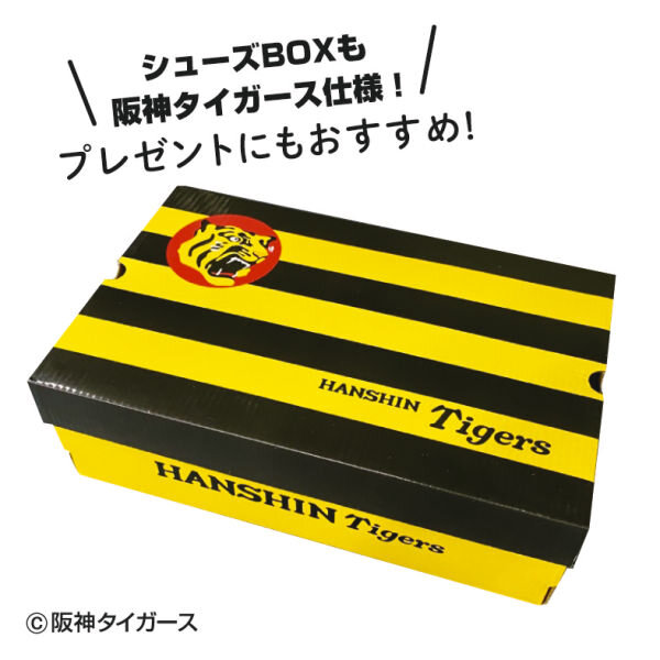 新商品が入荷しました!