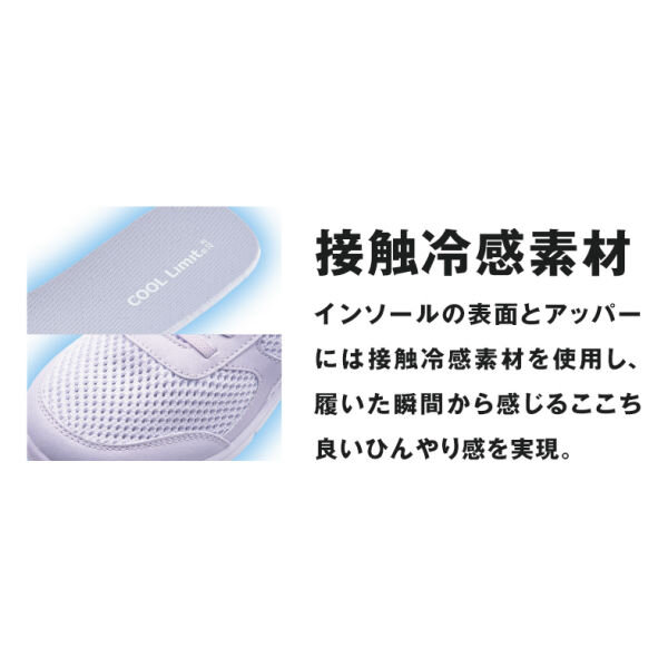 新商品が入荷しました!
