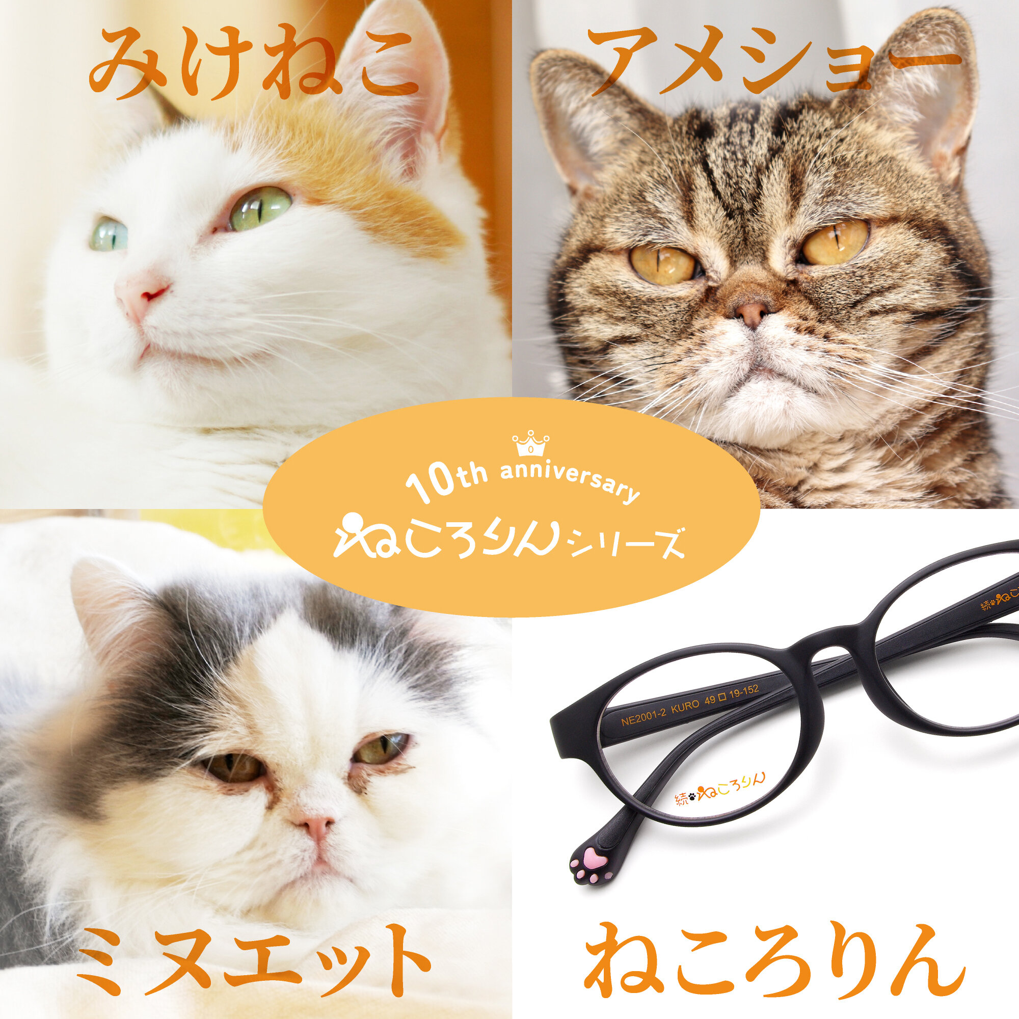 ねころりん新作