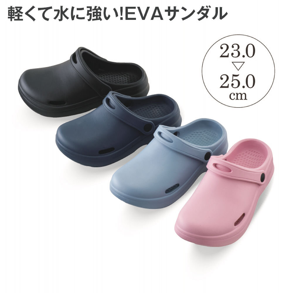 今月のおすすめ
